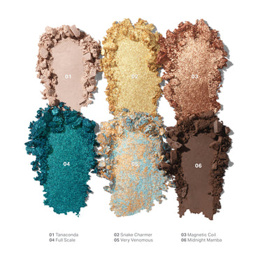 {Python Code} Chromaplus 6 Pan Eyeshadow Palette shade macro swatches: 01 Tanaconda, 02 Snake Charmer, 03 Magnetic Coil, 04 Full Scale, 05 Very Venomous, 06 Midnight Mamba.