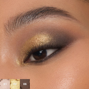 {Python Code} Close-up model eye wearing Chromaplus 6 Pan Eyeshadow Palette in golden foil and deep brown smoky look; shade swatches 01, 02, 06.