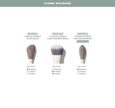 Ready Set Pro 16 Piece Face Eye Brush Set cheek brushes infographic featuring M201 Angled Powder Blush Brush, M242 Slanted Cream & Liquid Bronzer Brush, and M281 Tapered Powder Highlighter Brush (Set Exclusive), each with Use With: Powders, Creams, Liquids callouts.