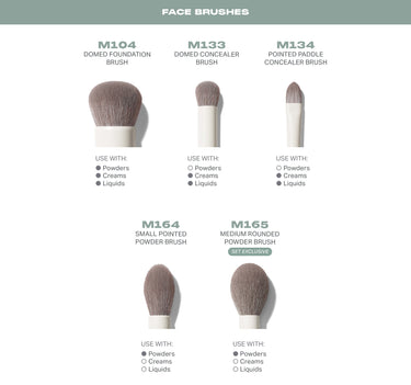 Ready Set Pro 16 Piece Face Eye Brush Set face brush infographic showing M104 Domed Foundation Brush, M133 Domed Concealer Brush, M134 Pointed Paddle Concealer Brush, M164 Small Pointed Powder Brush, and M165 Medium Rounded Powder Brush (Set Exclusive), each with Use With: Powders, Creams, Liquids compatibility indicators.