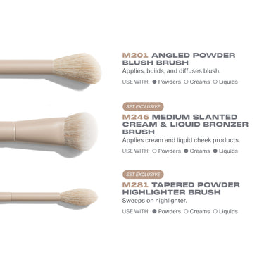 Custom Blends 12-Piece Face & Eye Brush Set