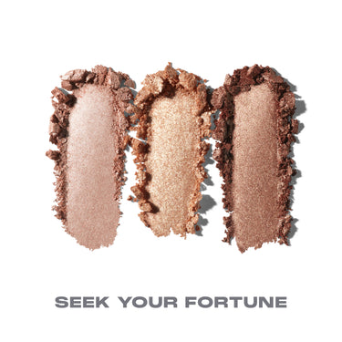 {Seek Your Fortune}